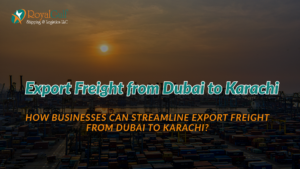 Logistics worker managing cargo shipping from UAE to Pakistan